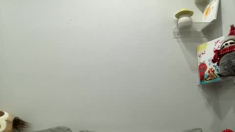 Snapshot of ailebun chatting on 12/29/24, 03:54 Aile online show from 12/29/24, 03:54