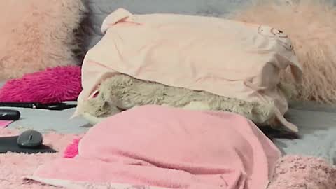 Aitanna Love online show from 03/10/26, 06:29