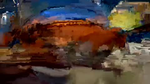 aj297914 online show from 10/01/25, 03:34