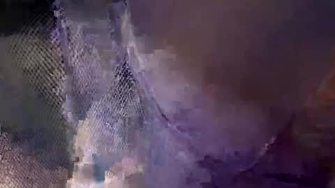 aj297914 online show from 10/18/25, 05:54