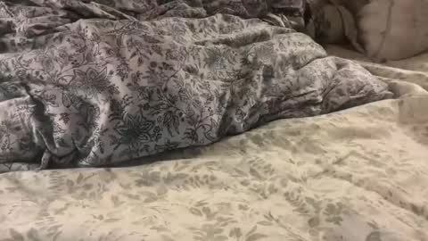 aj86cam online show from 01/10/26, 02:02