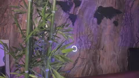 ALAHIA online show from 01/13/26, 05:18