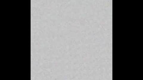 Alaia online show from 11/12/25, 11:21