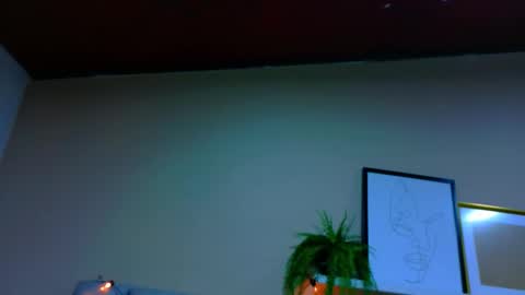  Alaia  online show from 01/07/26, 11:34