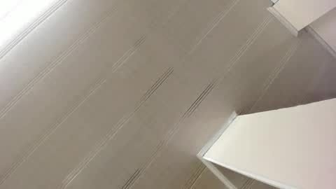 Maeve  online show from 01/07/25, 10:54