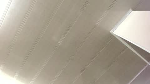 Maeve  online show from 02/12/25, 10:35