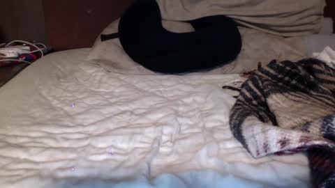 albertalbert9 online show from 12/13/24, 07:25