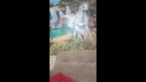 Snapshot of albina6543 chatting on 02/09/26, 08:40 albina online show from 02/09/26, 08:40