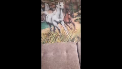 Snapshot of albina6543 chatting on 02/13/26, 09:49 albina online show from 02/13/26, 09:49