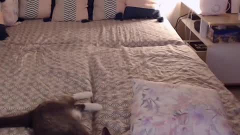 Sandra online show from 02/28/25, 02:20