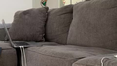 Snapshot of alex_ruiz_ chatting on 11/03/25, 06:53 Alex online show from 11/03/25, 06:53