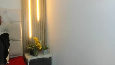 Snapshot of alexa_bravva chatting on 12/18/25, 03:12 alexa_bravva online show from 12/18/25, 03:12