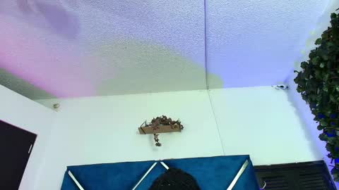 Snapshot of alexarousse4u chatting on 02/24/26, 01:47 Alexa online show from 02/24/26, 01:47