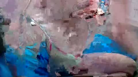 Doggystyle online show from 12/25/24, 06:52