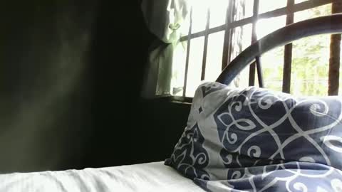 Alex online show from 12/29/24, 05:01