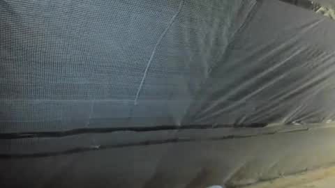 Snapshot of alfiesolomons87 chatting on 10/02/25, 12:12 alfiesolomons87 online show from 10/02/25, 12:12