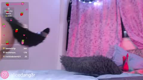 Alice  online show from 12/15/24, 05:13