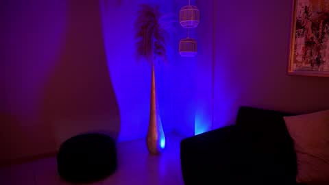 Alice online show from 02/05/26, 12:37