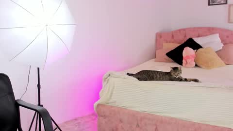  ALICEKIING online show from 02/21/26, 04:24