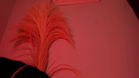 Snapshot of alicepoixxxon chatting on 10/25/25, 03:14 ALICE online show from 10/25/25, 03:14