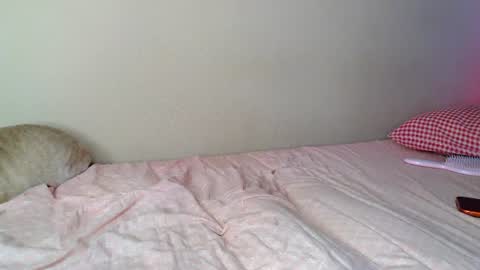 Snapshot of alicerabdit chatting on 07/18/26, 03:49 Alice online show from 07/18/26, 03:49
