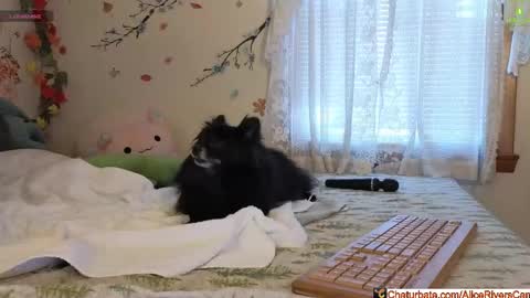 Alice Rivers ---- Enter my public Discord-  online show from 02/05/26, 09:30