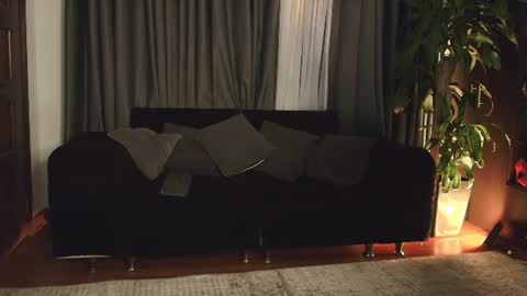 aliciawonderxx online show from 06/10/26, 12:33