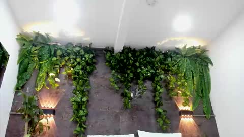Snapshot of aliice_greco chatting on 02/01/26, 06:17 Alice online show from 02/01/26, 06:17