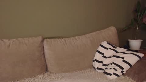 alisaxxxshy online show from 02/03/26, 06:40