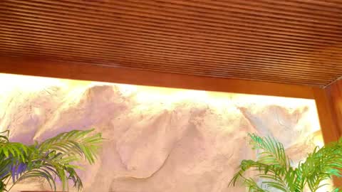 Alison Moon  online show from 05/13/26, 11:22