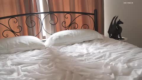 Alissa online show from 02/19/25, 10:23