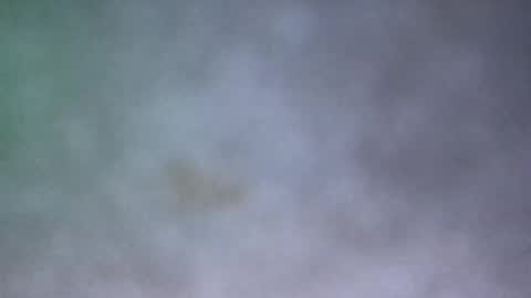 all_most_sane online show from 05/17/26, 03:30