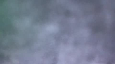 all_most_sane online show from 05/19/26, 04:02