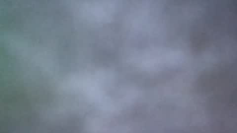 all_most_sane online show from 05/20/26, 02:45