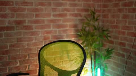 Allie online show from 12/23/24, 05:49