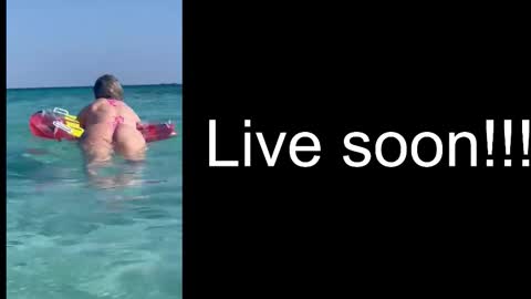 Allie online show from 12/17/25, 05:46