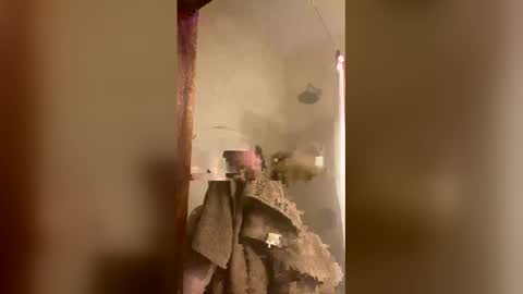 allisonlove2 online show from 04/09/26, 11:32