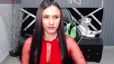 Snapshot of allisson_a chatting on 01/17/25, 03:45 Allisson online show from 01/17/25, 03:45