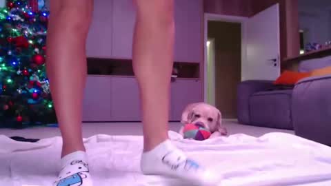 allissonhotbb online show from 12/15/24, 07:21