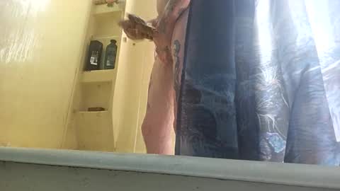 allwolf0323 online show from 09/30/25, 04:45