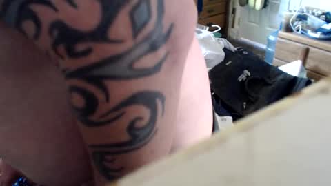 allwolf0323 online show from 02/26/26, 08:08