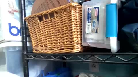 allyanalangel online show from 01/05/26, 06:33