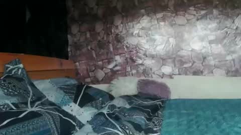 Almah online show from 03/31/26, 09:43