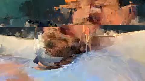 Snapshot of alpachino7777 chatting on 02/19/25, 05:27 alpachino7777 online show from 02/19/25, 05:27