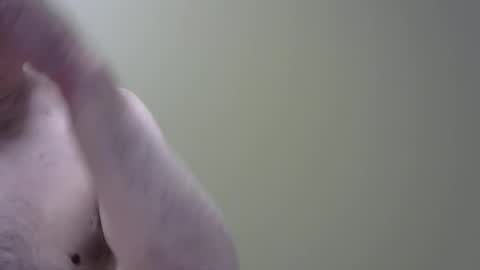 altoplay69 online show from 06/08/26, 01:28