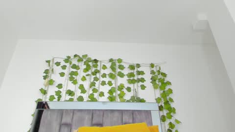 alyssia online show from 09/10/25, 02:06