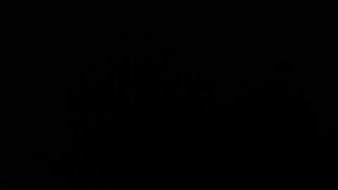 Amarantha online show from 01/19/25, 01:55