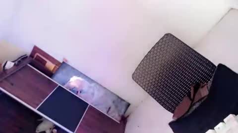 Amaya online show from 10/08/25, 02:20