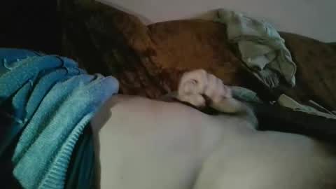 amazingcuteboy845 online show from 10/18/25, 09:15