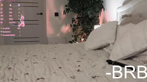 Amber online show from 04/16/26, 09:39